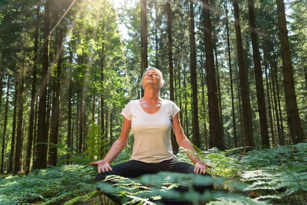 10 Meditation Health Benefits: The Physical Body