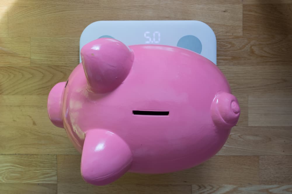 Lose Weight Without Breaking the Bank