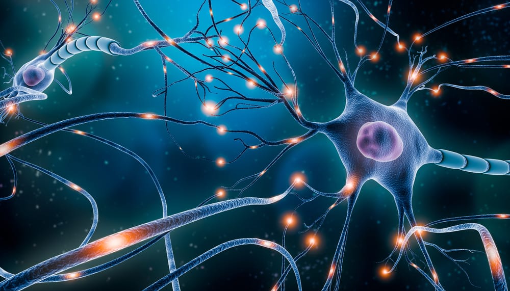 13 Natural Stimulants That Aren’t Caffeine