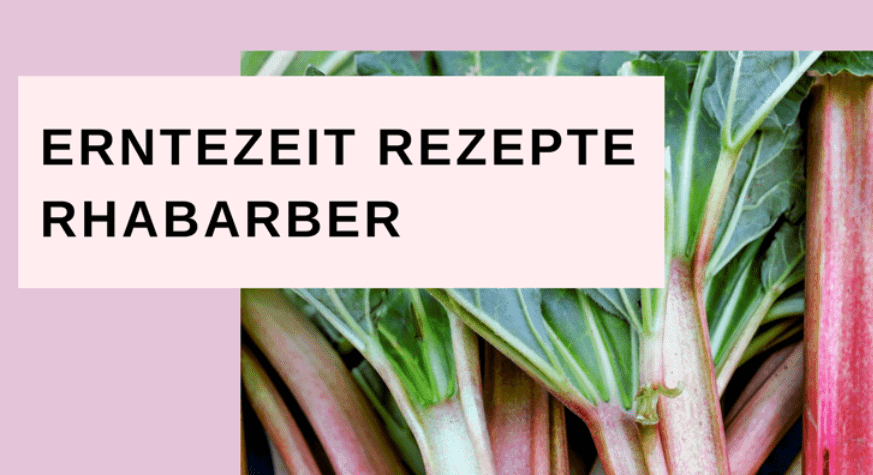 ERNTEZEIT-REZEPTE: RHABARBER