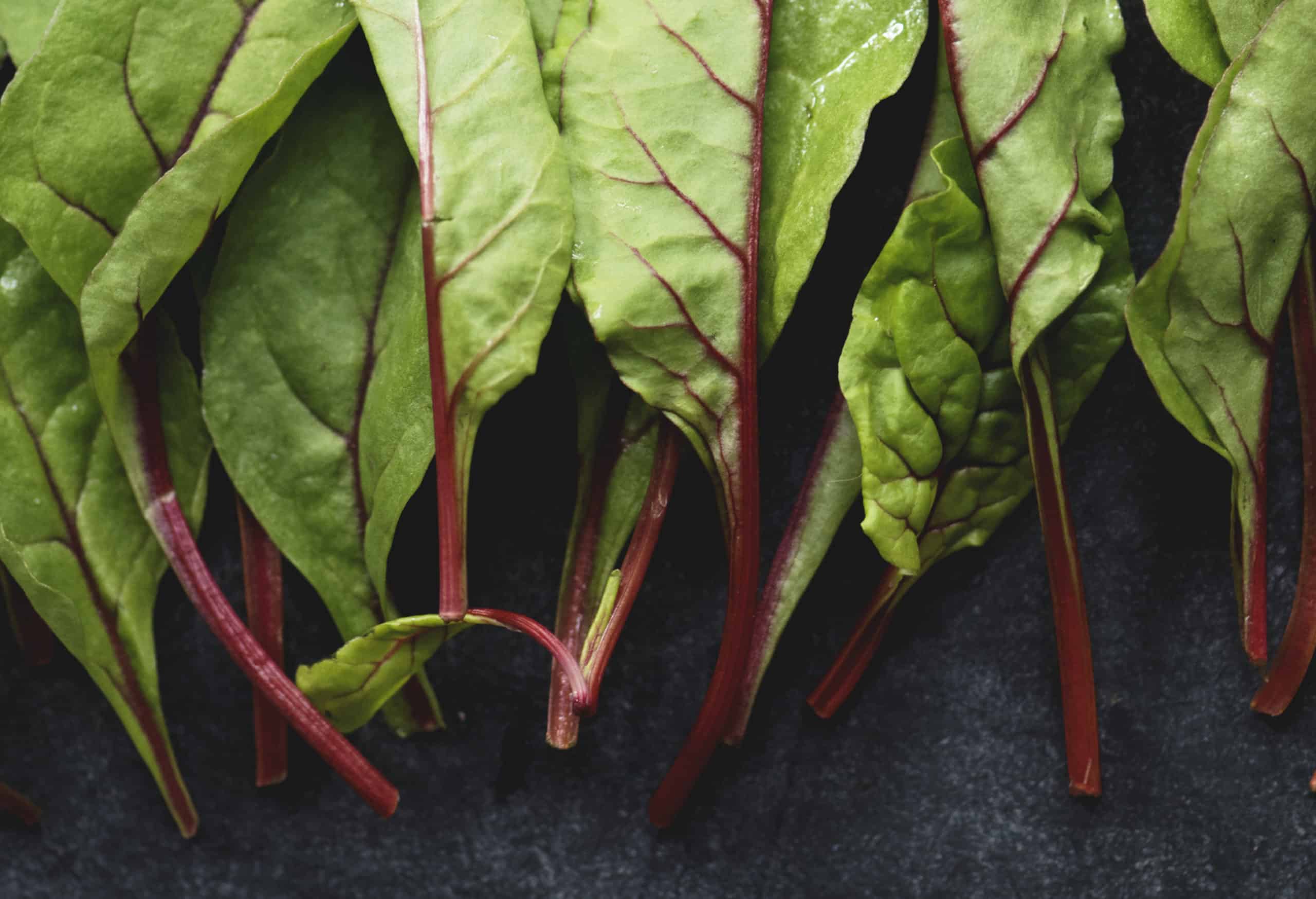 The keto vegan: What to eat, food list, and more