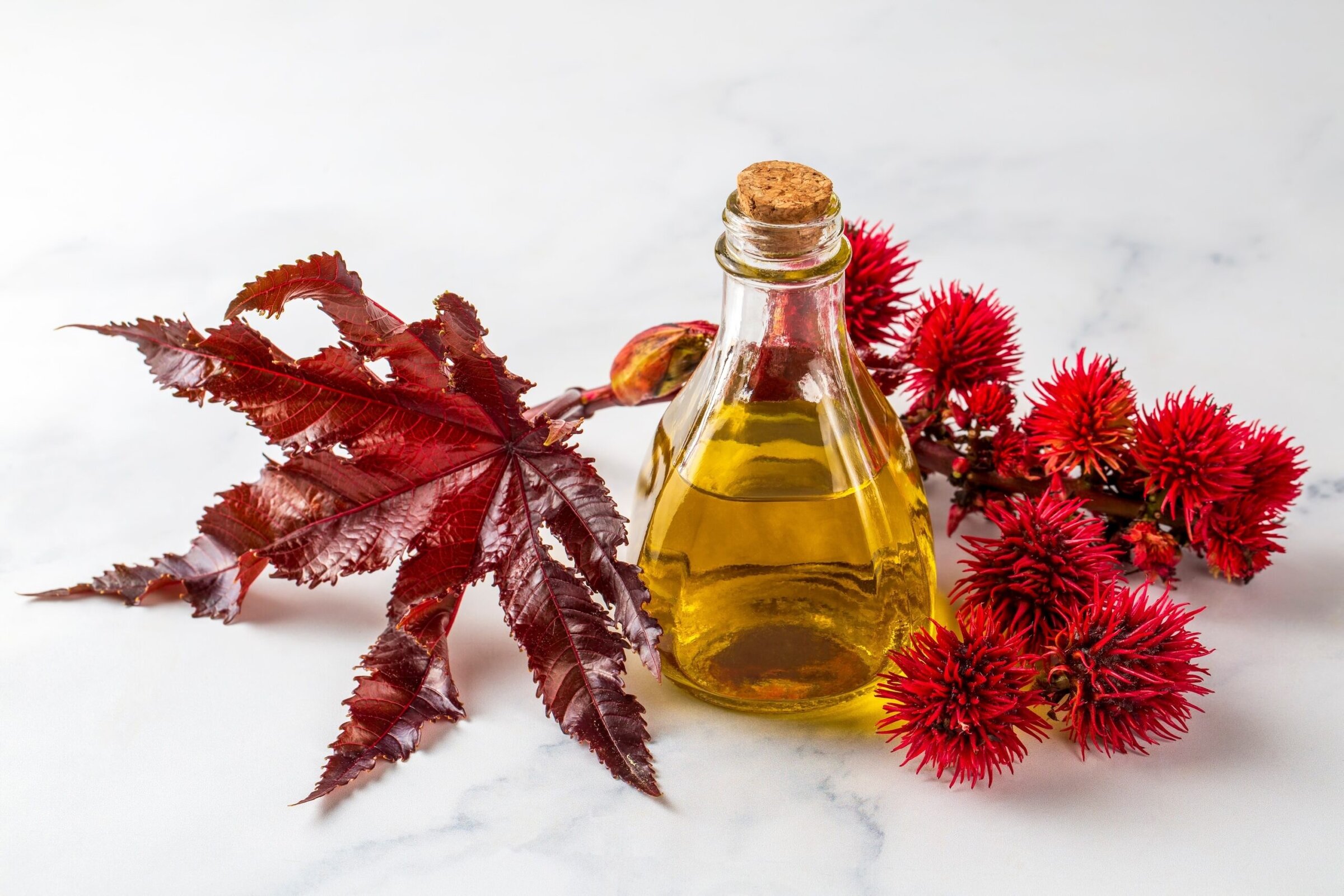 Is castor oil safe for weight loss? Here’s what the science says