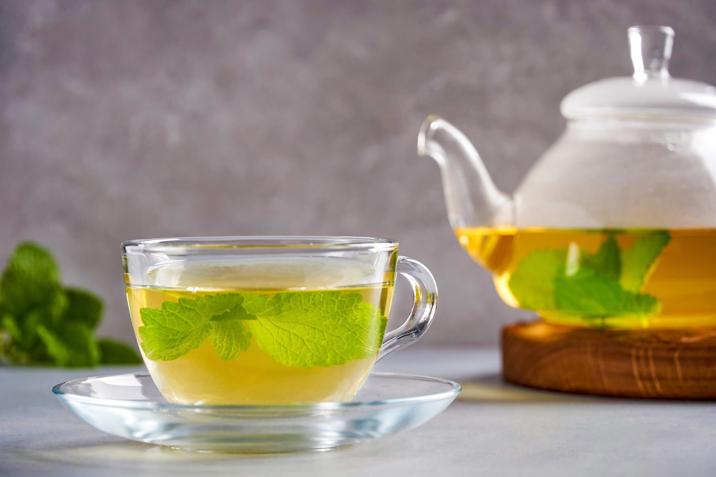 Is lemon balm tea good for weight loss? What experts say