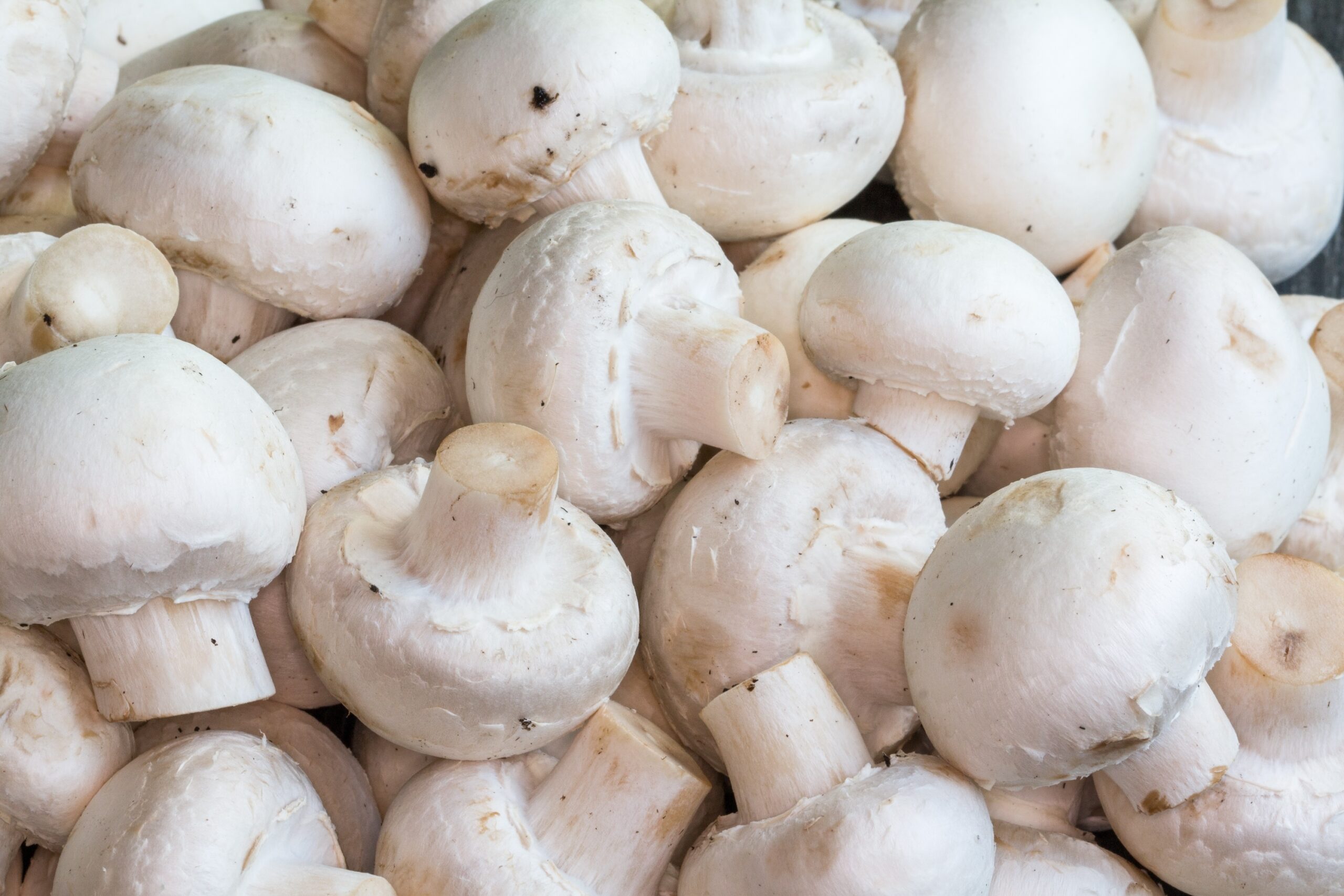 Are mushrooms good for weight loss? What their nutrition facts reveal