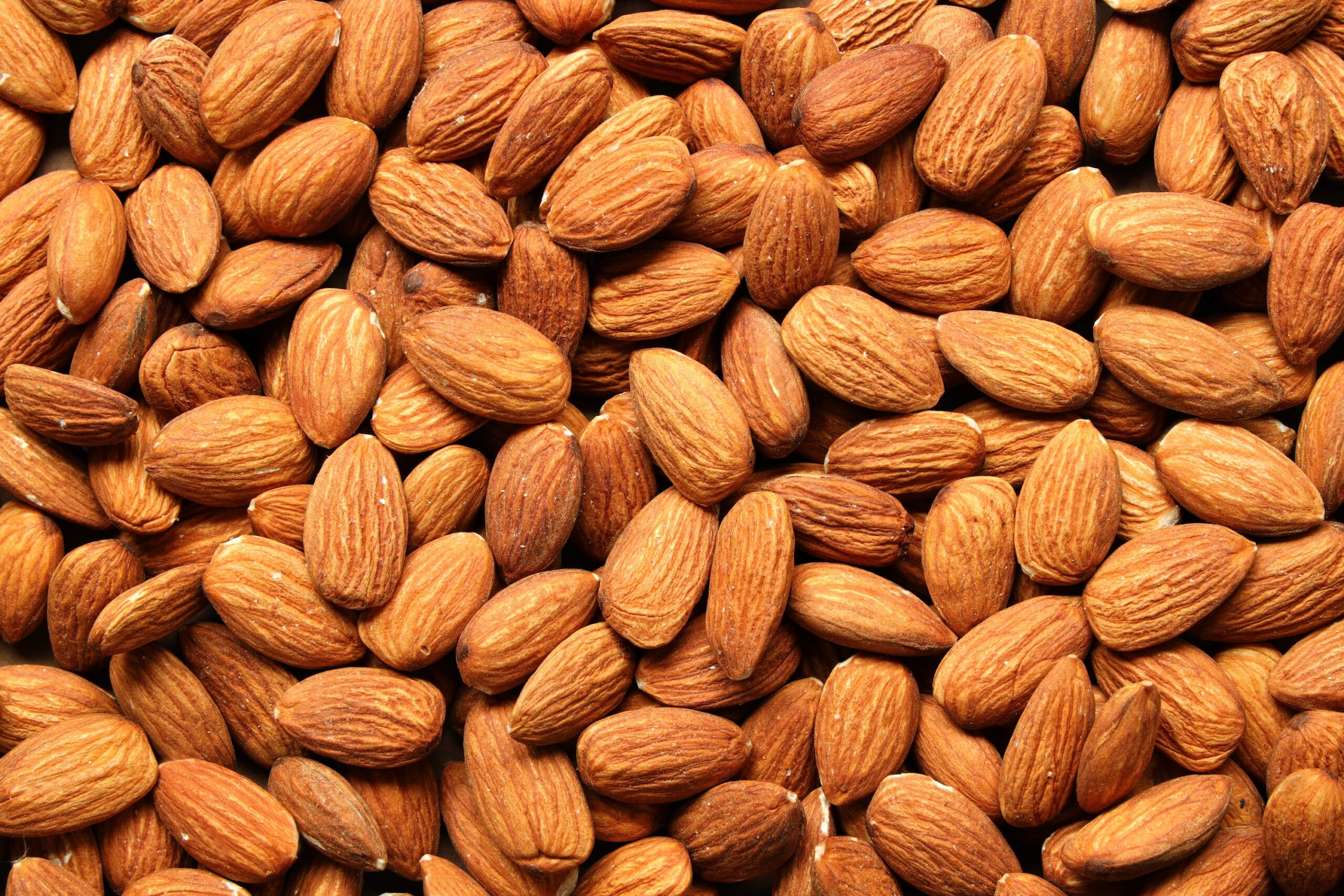 Almond, Food, Grain