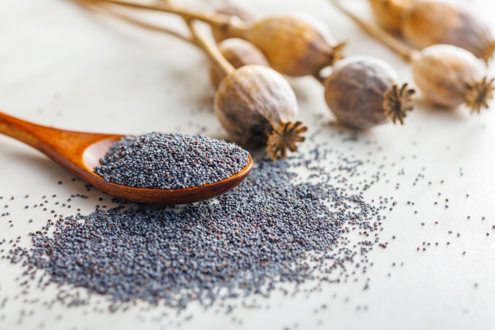 Are poppy seeds good for weight loss? What you need to know