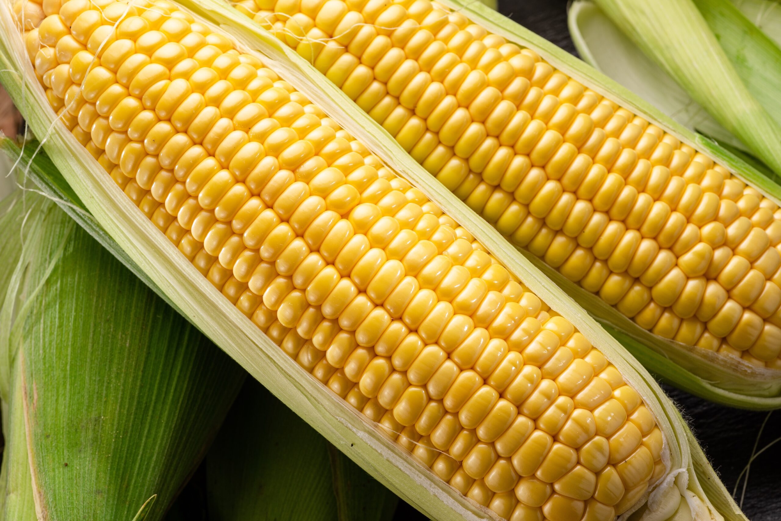 Corn, Food, Grain