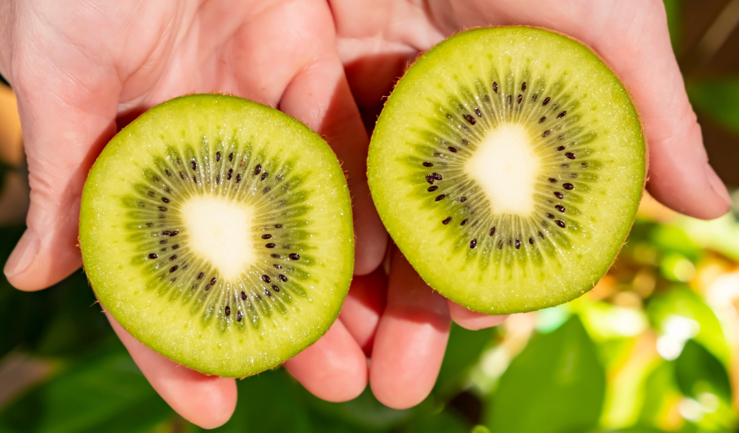 Food, Fruit, Plant